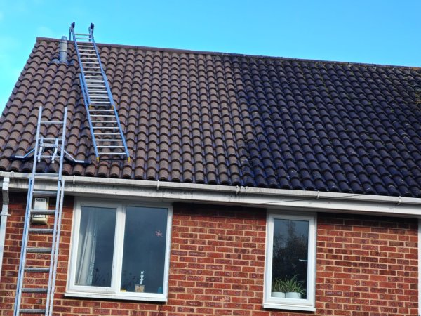 Roof Cleaning